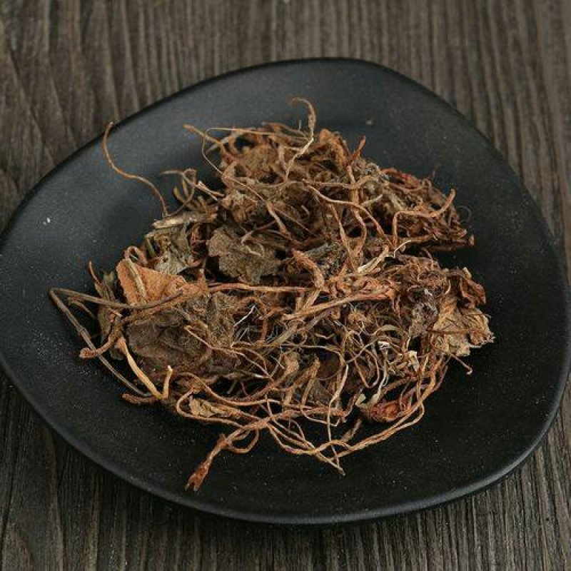 虎耳草，常年批发供应野生货