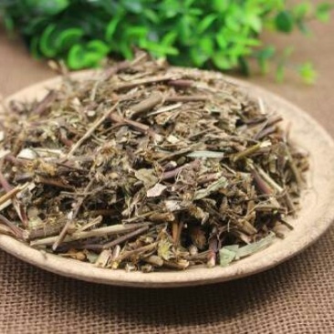 一枝黄花，常年批发一枝黄花中药材