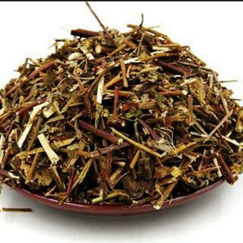 一枝黄花，常年批发一枝黄花中药材