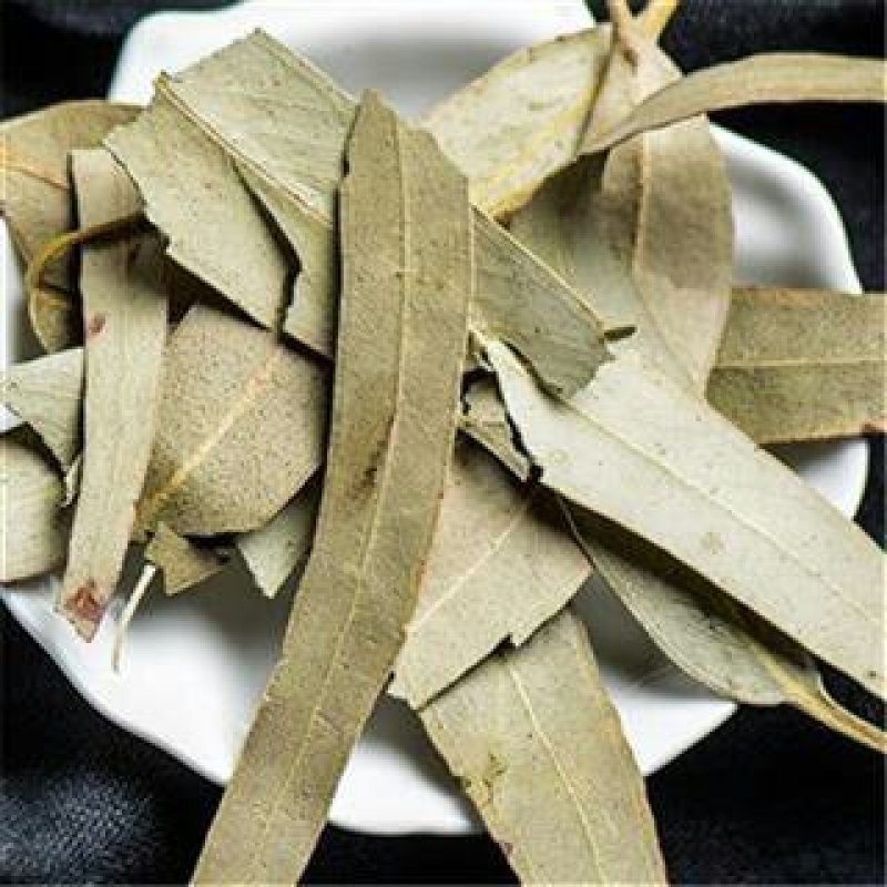 桉叶，常年批发桉叶中药材