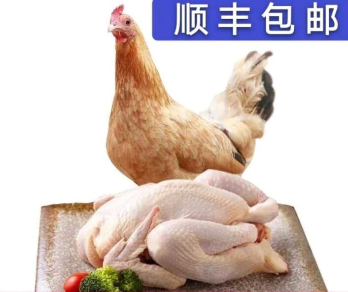 元宝鸡 全国包邮 线上下单 视频一对一挑选