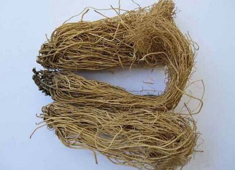 徐长青，常年批发供应中药材徐长卿，山东货