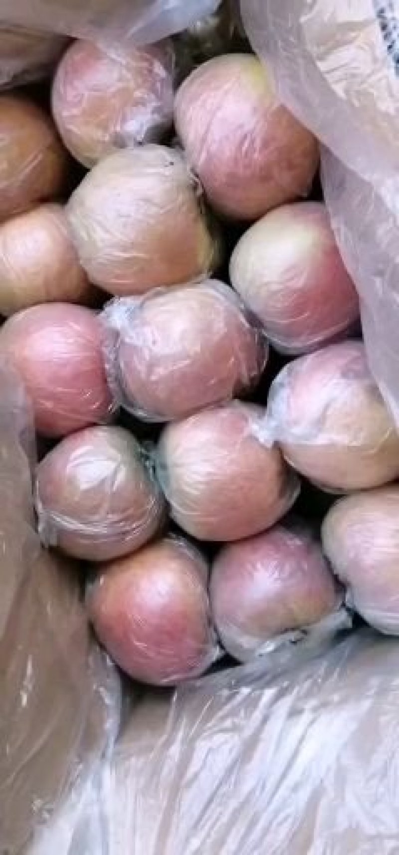 富士苹果，甜脆，汁多，口感好吃，产地直销，每天供应，欢迎