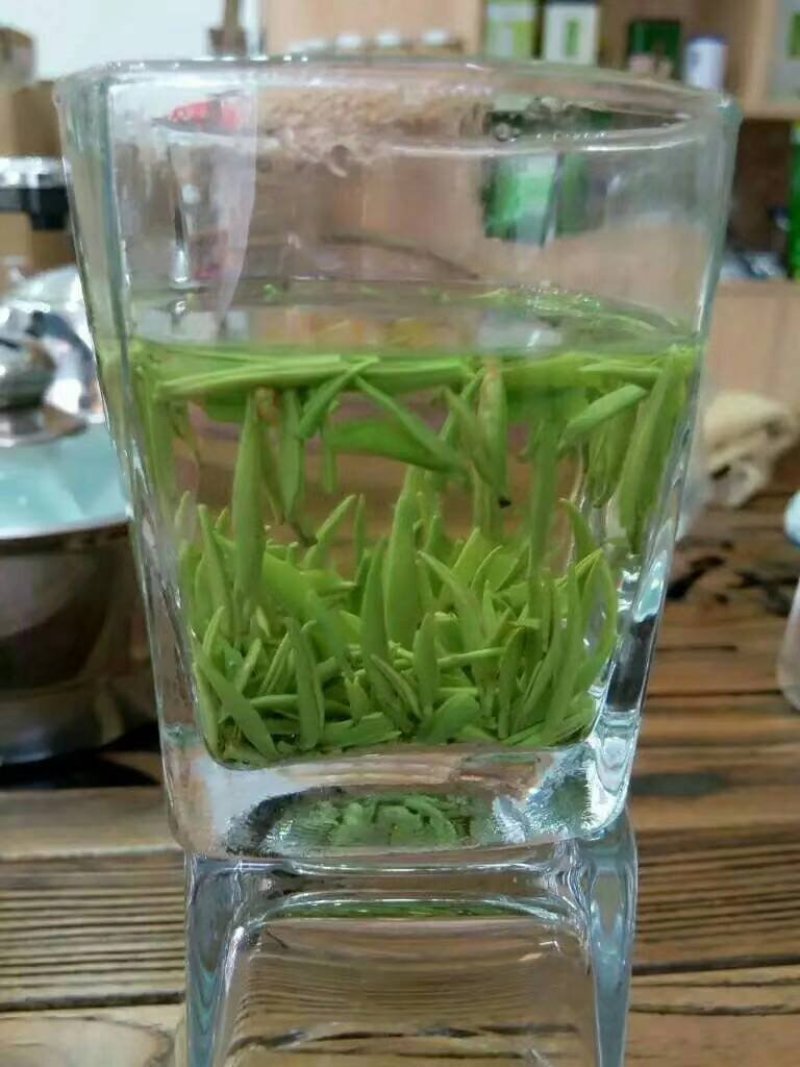 茶叶2024春茶绿茶芽头，毛尖茶，恩施硒香茶上市