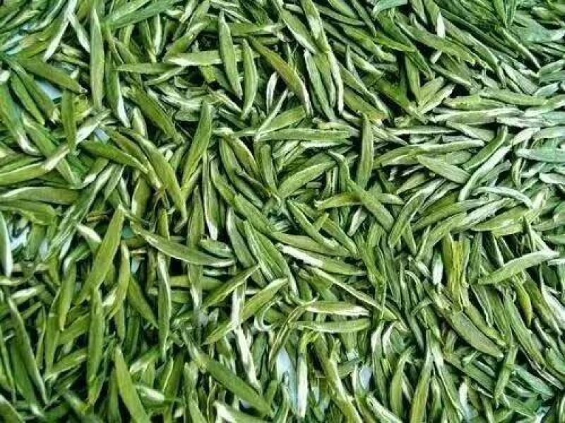 茶叶2024春茶绿茶芽头，毛尖茶，恩施硒香茶上市