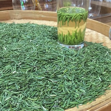 茶叶2024春茶绿茶芽头，毛尖茶，恩施硒香茶上市
