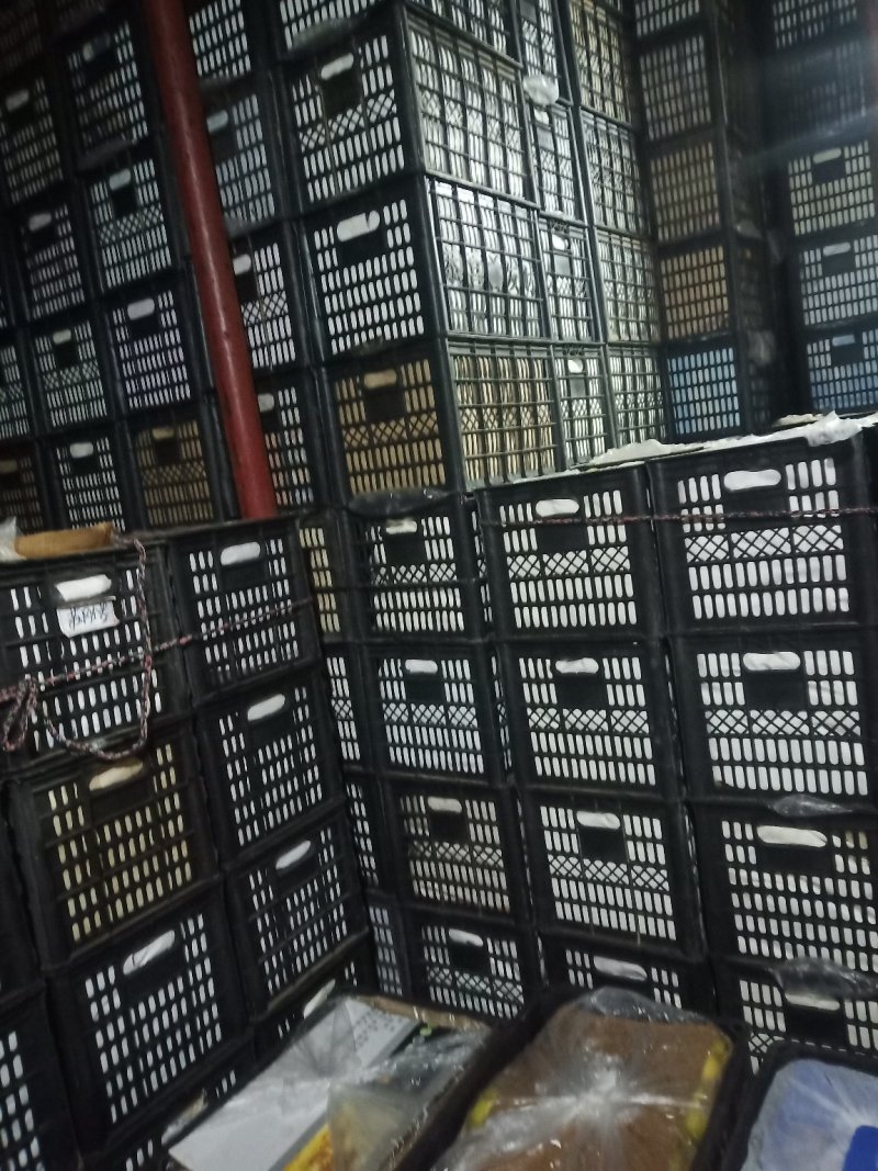 【精品】皇冠梨万亩产地直销口感好甜度佳可视频看货