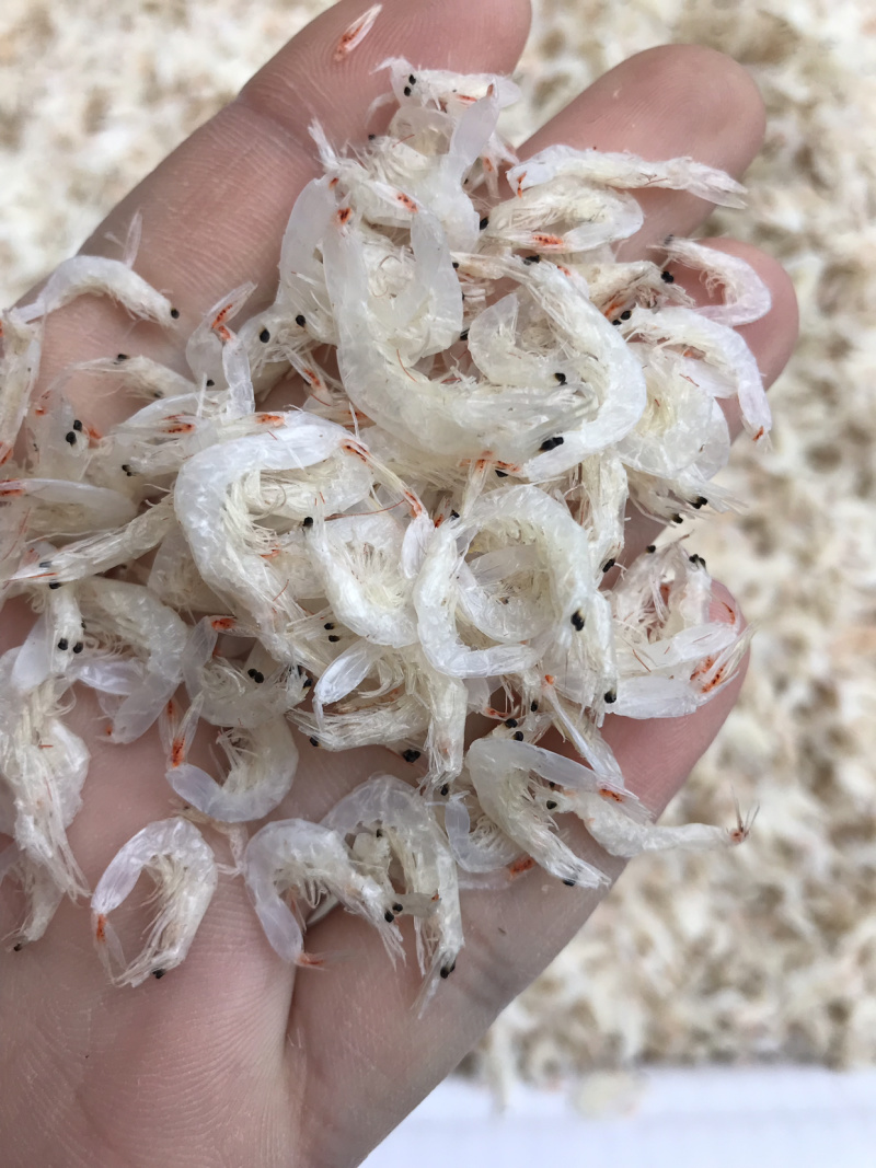 虾皮