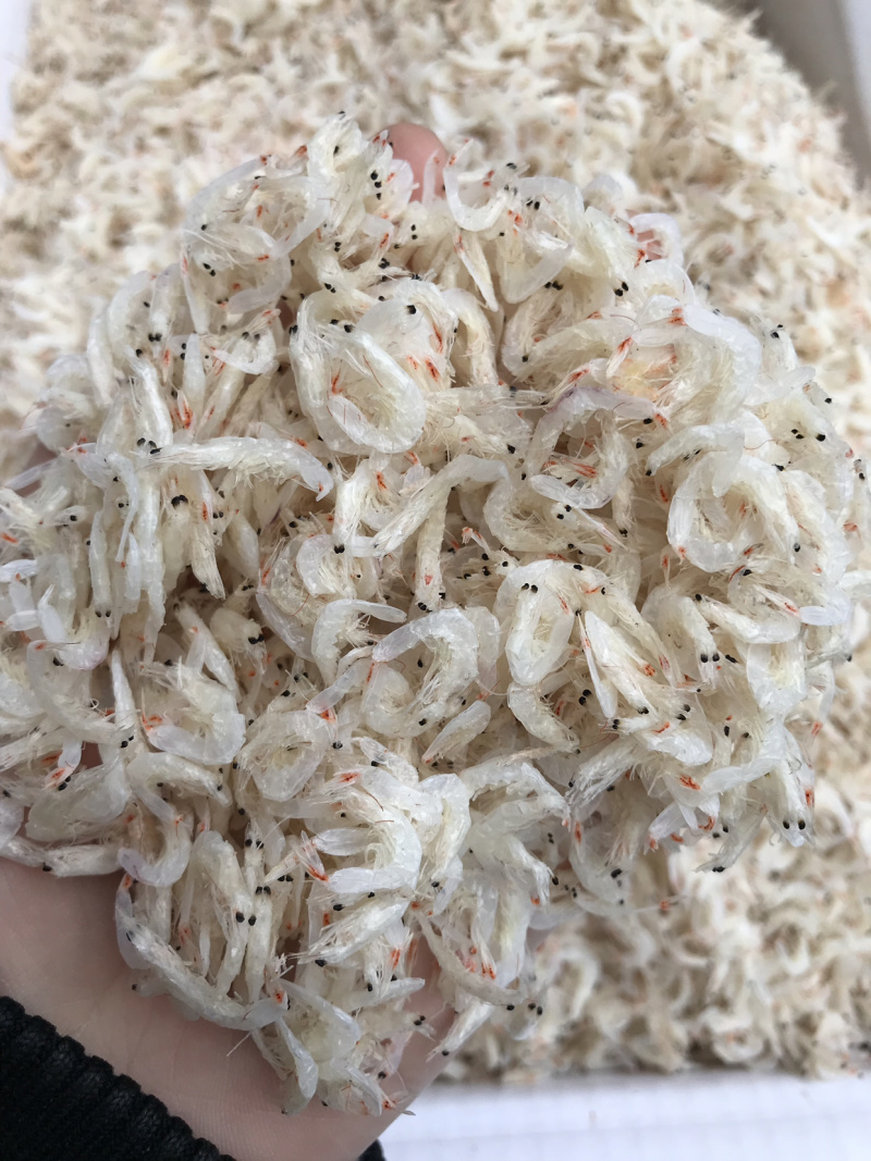 虾皮