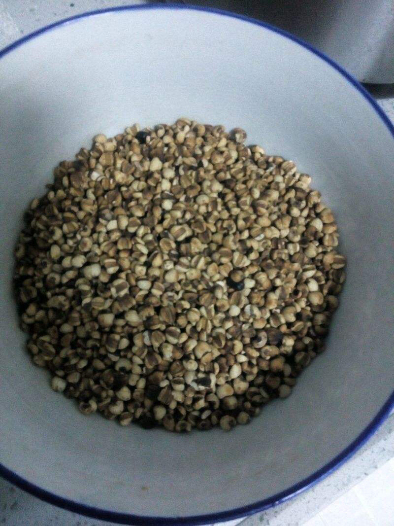 炒熟薏米两斤包邮炒薏米炒薏苡仁炒薏米农副土特产品