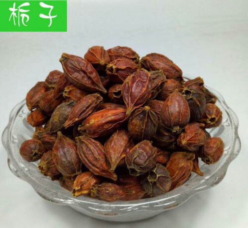 栀子，常年批发供应药食两用中药材栀子