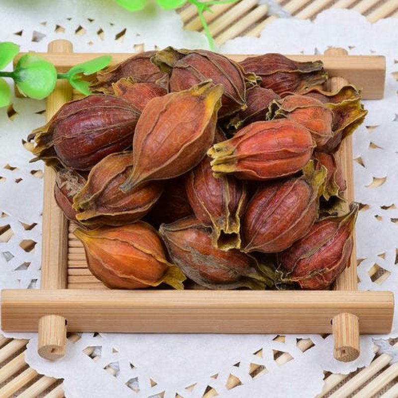栀子，常年批发供应药食两用中药材栀子