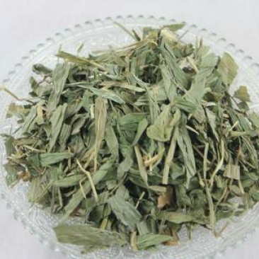 淡竹叶，常年批发供应药食两用中药材淡竹叶