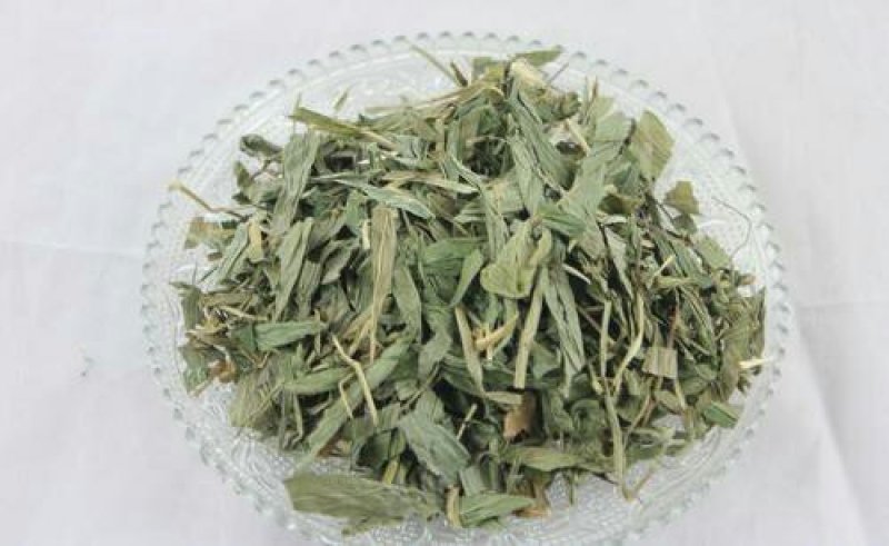 淡竹叶，常年批发供应药食两用中药材淡竹叶