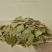 淡竹叶，常年批发供应药食两用中药材淡竹叶