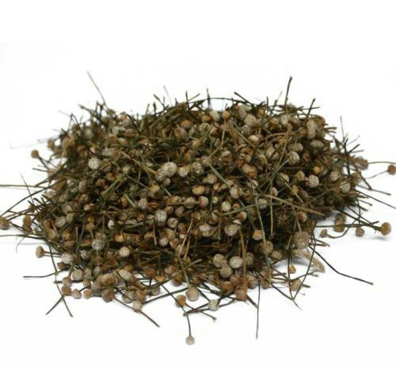 谷精草，常年批发供应谷精草中药材