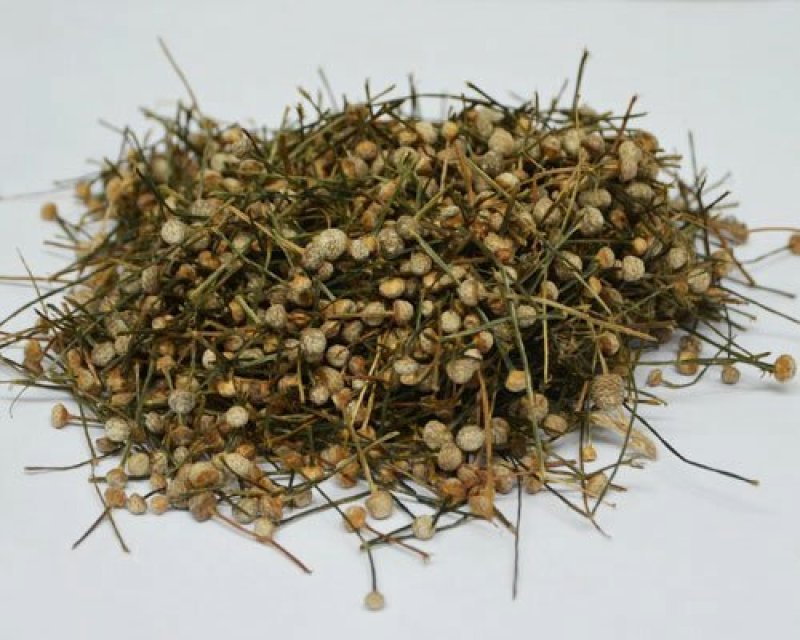 谷精草，常年批发供应谷精草中药材