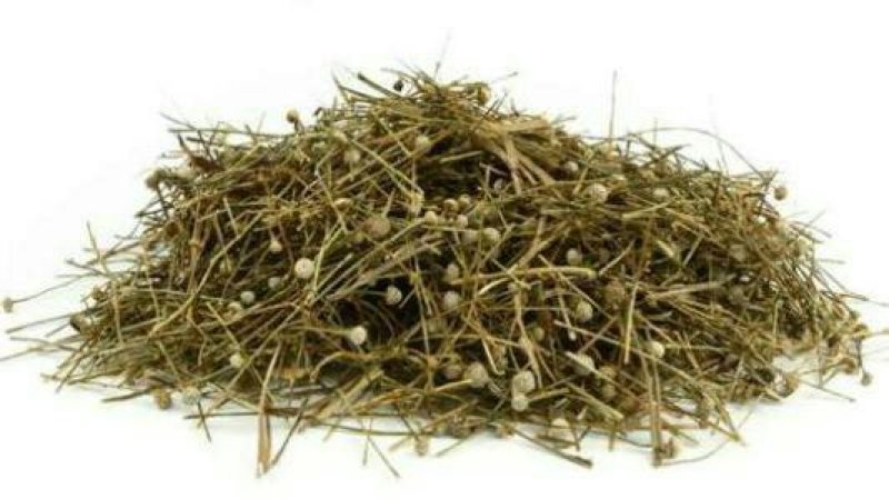 谷精草，常年批发供应谷精草中药材