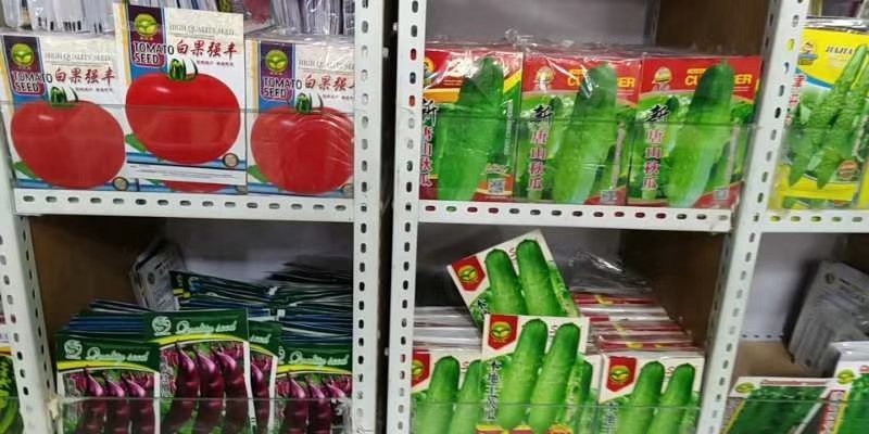 地摊火爆产品菜种子2026春季新款菜种子
