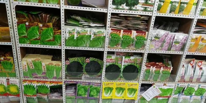 地摊火爆产品菜种子2026春季新款菜种子