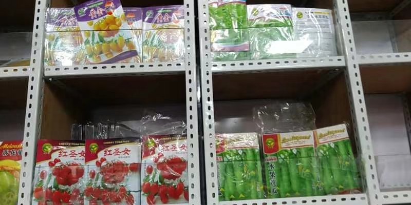 地摊火爆产品菜种子2026春季新款菜种子
