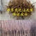包邮樱桃树苗盆栽地栽,树苗质量好,价格实在量大从优