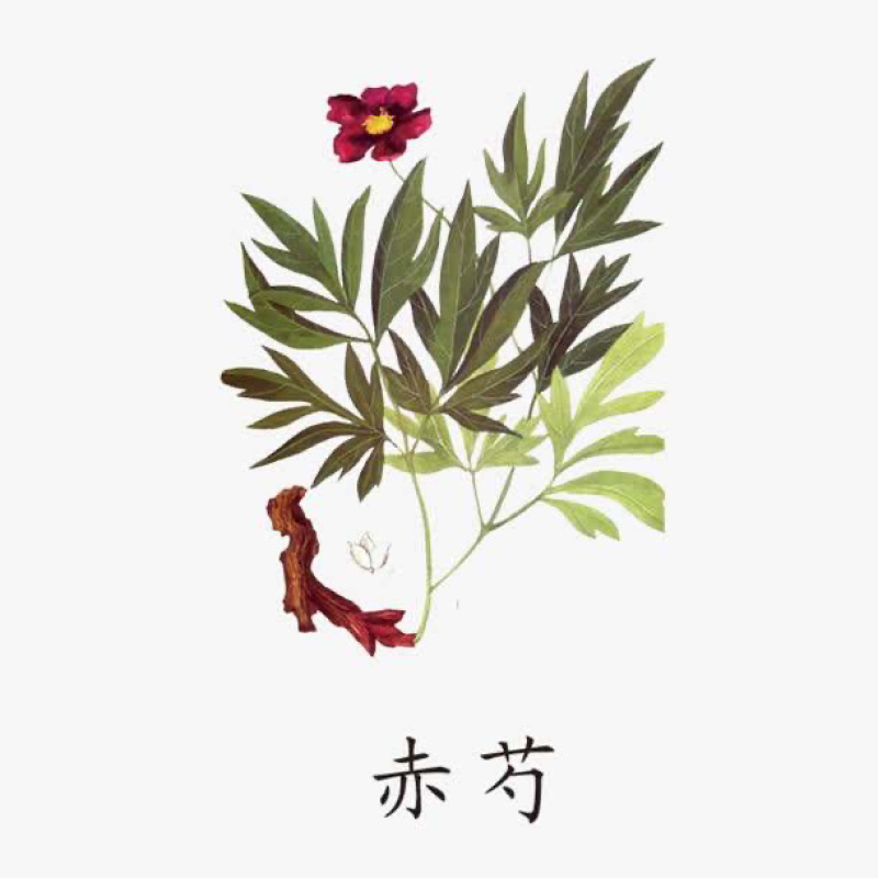 赤芍别名：’山赤芍草芍药赤芍药‘农家初选农副产品