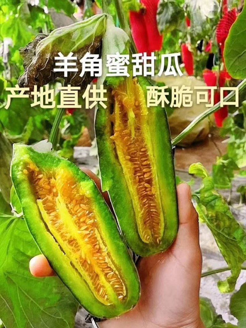 【甜瓜】山东羊角蜜大量供应基地直发皮薄多汁