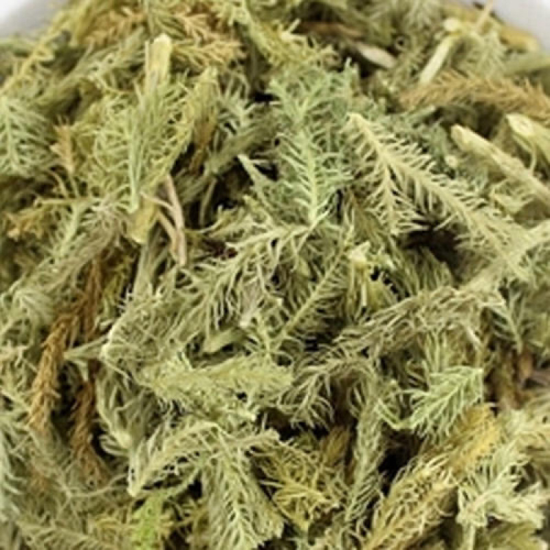 伸筋草两石松狮子草舒筋草农家初选农副产品