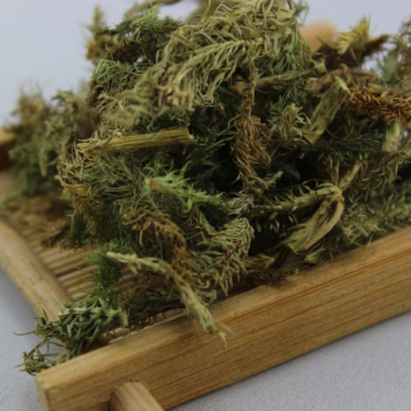 伸筋草两石松狮子草舒筋草农家初选农副产品