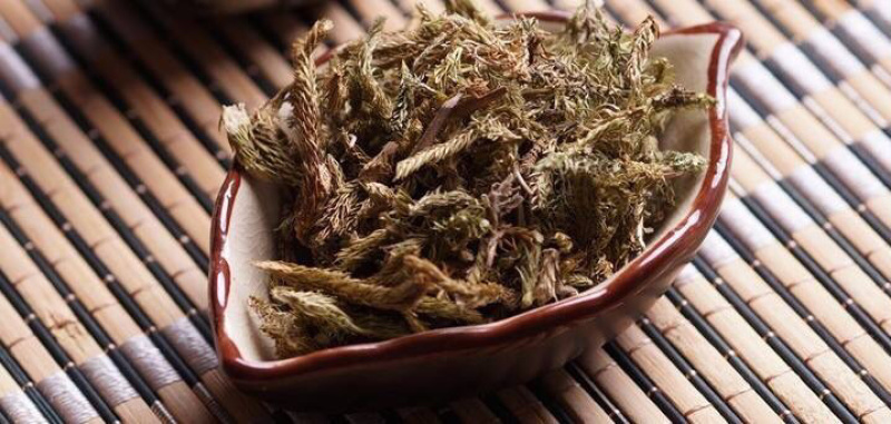 伸筋草两石松狮子草舒筋草农家初选农副产品