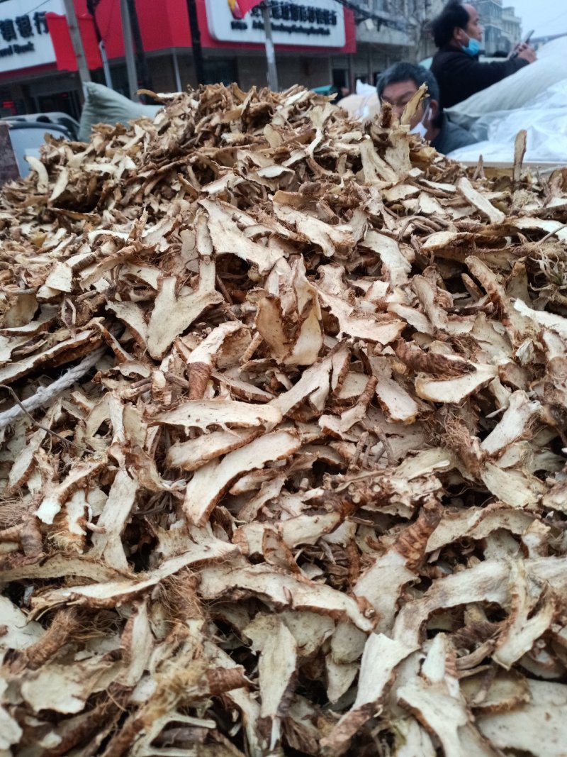 知母片、知母丁、知母腿、等知母产品！含量好！价格优！
