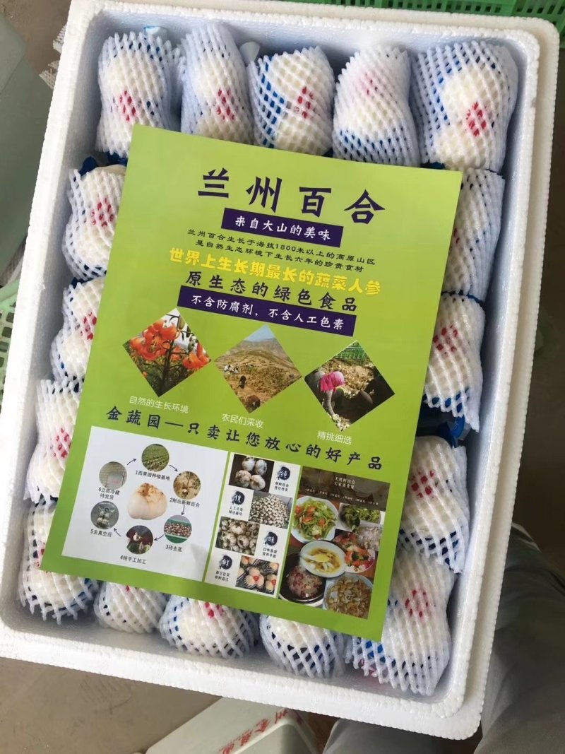 疫情影响兰州百合滞销大放送