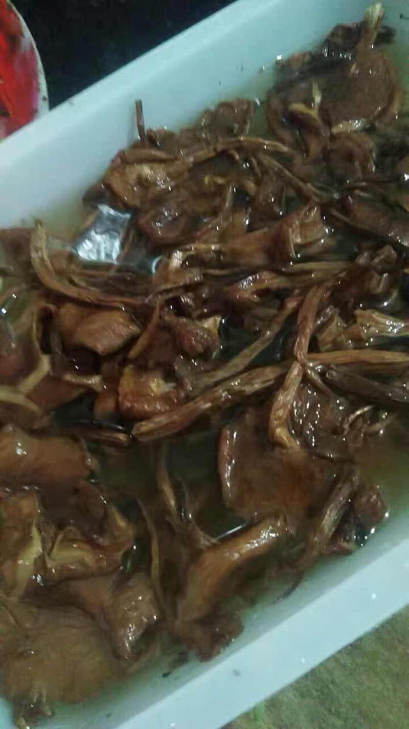 茶树菇干货开伞茶薪菇香菇农家特产农副土特产品