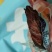 内蒙古正宗手撕风牛肉干真空
