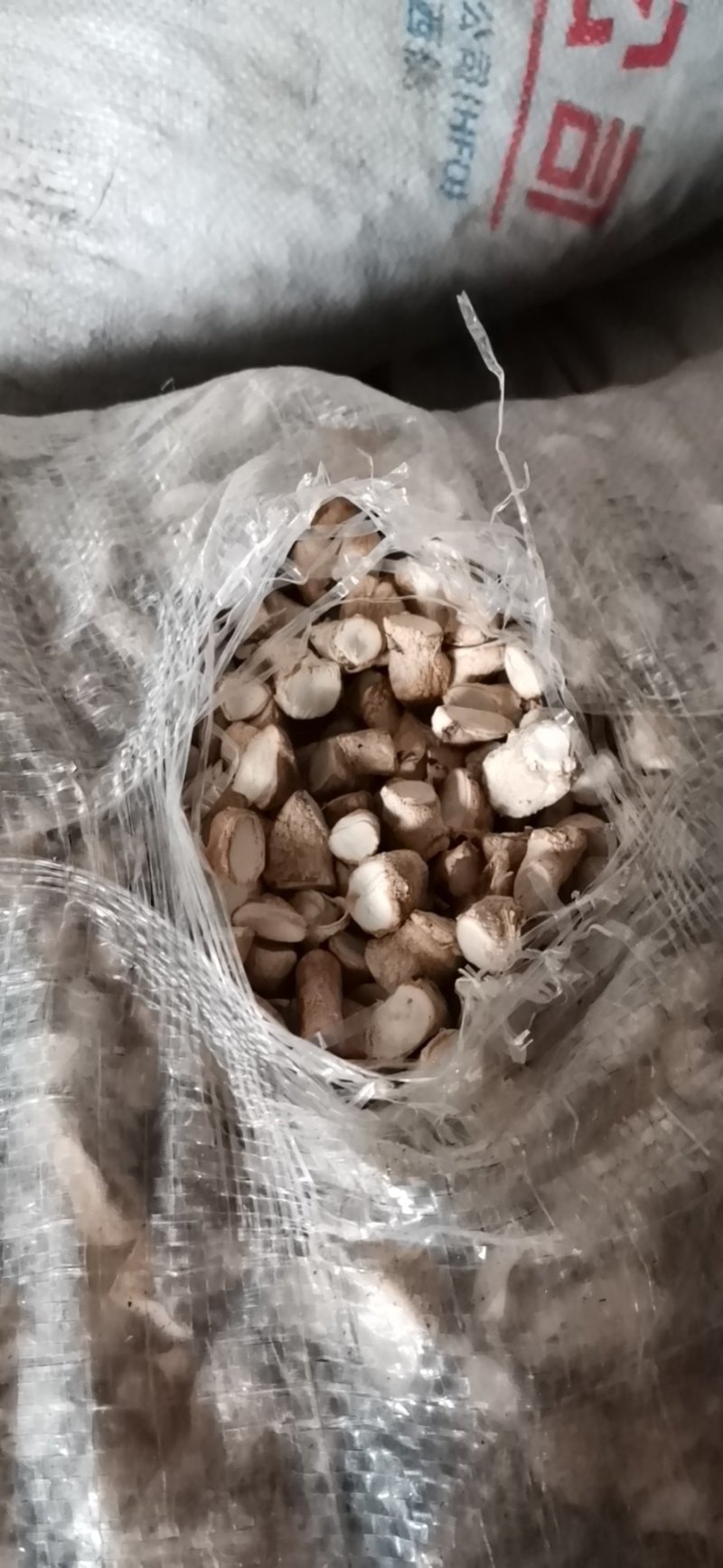 香菇脚