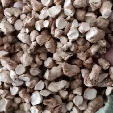 香菇脚