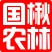 出售各种规格楸树小苗楸树工程苗