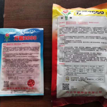 糯玉米