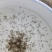 鲈鱼苗鲈鱼水花加州鲈鱼苗广东鲈鱼苗