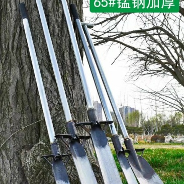 唐唐挖树铲子全钢加厚起苗洛阳铁铲户外断树根农用工具挖土
