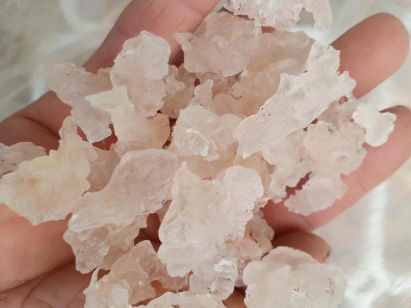 进口雪燕！大货批发！价格优，整件物流包邮！