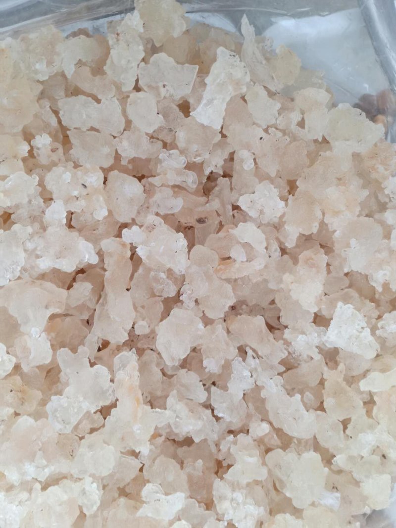 进口雪燕！大货批发！价格优，整件物流包邮！