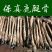 《明轩鹿业》纯正东北梅花鹿骨净骨整根鹿骨带蹄保