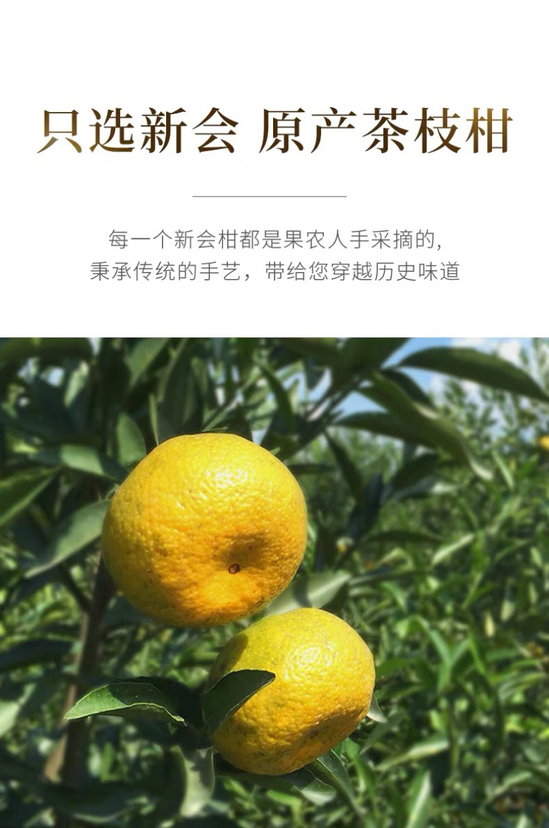 新会陈皮六年广东新会陈皮老陈皮500g十年陈皮干