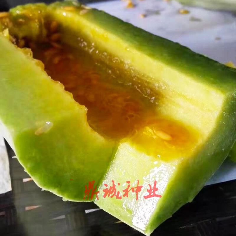 豫艺豫甜酥羊角酥甜瓜种子肉色淡绿瓤色橙红10g