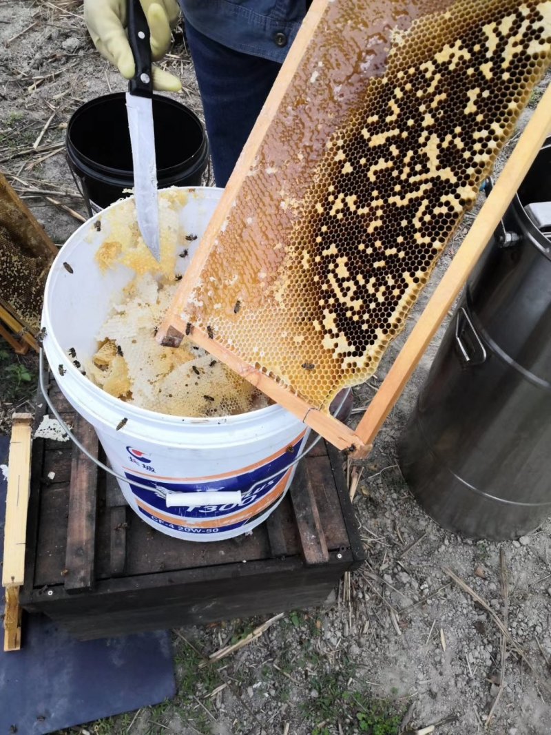 荔枝蜜纯正天然蜂蜜自产自销高州农人