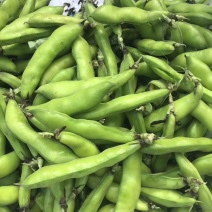 青蚕豆