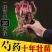 勺药花苗红粉黄白品种齐全蓝盆栽地栽南北适种耐寒