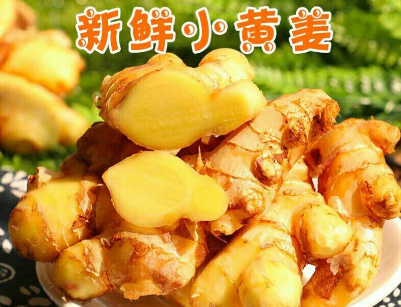 [一件代发]现挖老黄姜5斤生姜大当季新鲜蔬菜助农包邮